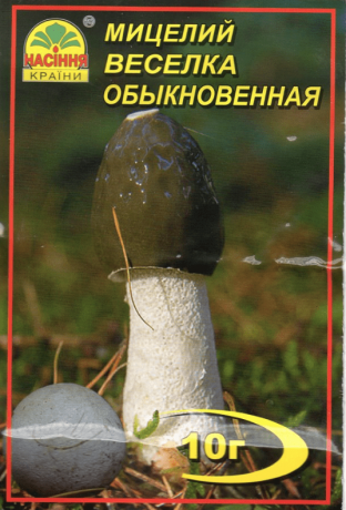 Мицелий Веселка обыкновенная (лечебный гриб), 10 г