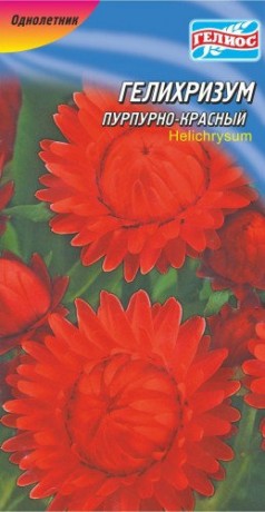 Насіння Геліхрізум Пурпурово-червоний, 0.1 г, ТМ Гелиос