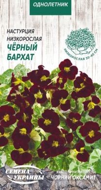 Семена Настурция низкорослая Чёрный бархат, 1 г, ТМ Семена Украины