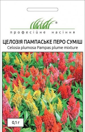 Семена Целозия Пампаское перо смесь, 0.1 г, Hem, Голландия, ТМ Професійне насіння