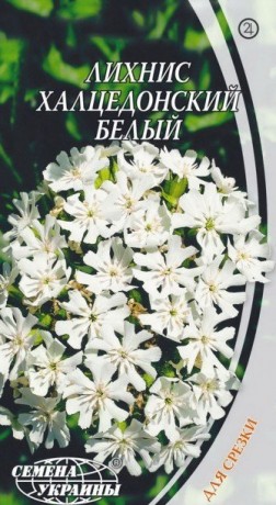 Семена Лихнис халцедонский белый, 0,3 г, ТМ Семена Украины
