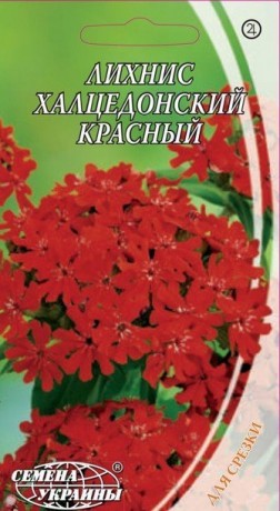 Семена Лихнис халцедонский красный, 0,2 г, ТМ Семена Украины