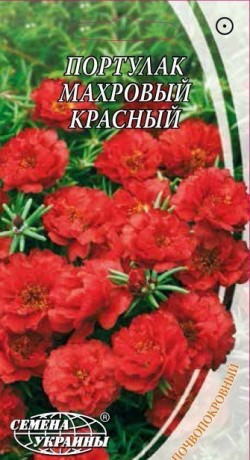 Семена Портулак махровый красный, 0,1 г, ТМ Семена Украины