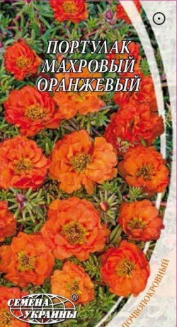 Семена Портулак махровый оранжевый, 0,1 г, ТМ Семена Украины