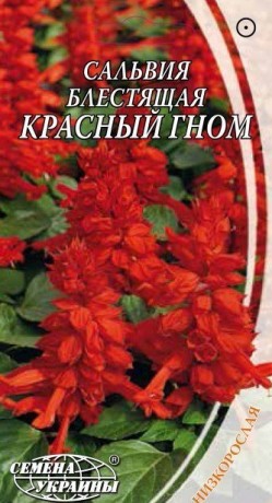 Семена Сальвия блестящая Красный гном, 0,2 г, ТМ Семена Украины