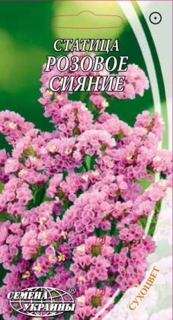 Семена Статица Розовое сияние, 0,2 г, ТМ Семена Украины