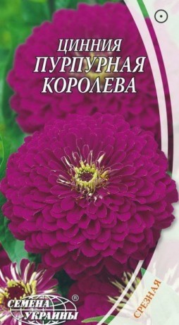 Семена Цинния Пурпурная королева, 0,5 г, ТМ Семена Украины