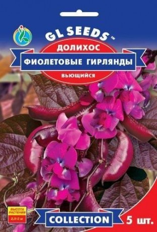 Насіння Доліхос Фіолетові гірлянди, 5 шт., TM GL Seeds