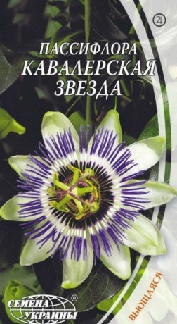 Семена Пассифлора Кавалерская звезда, 0,2 г, ТМ Семена Украины