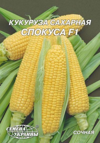 Насіння Кукурудзи Спокуса F1, 20 г, ТМ Семена Украины