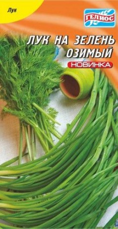 Семена Лука Озимый, 100 шт., ТМ Гелиос
