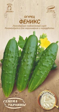 Семена Огурца Феникс, 1 г, ТМ Семена Украины