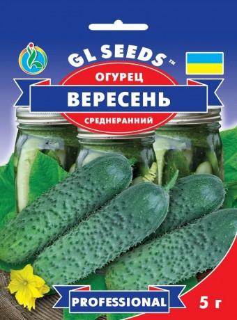 Семена Огурца Вересень, 5 г, TM GL Seeds