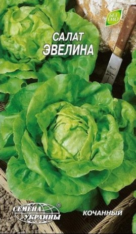 Семена Салата Эвелина, 1 г, ТМ Семена Украины