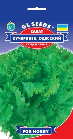 Семена Салата Кучерявец Одесский, 2 г, TM GL Seeds