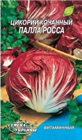 Семена Цикория кочанного Палла Росса, 1 г, ТМ Семена Украины