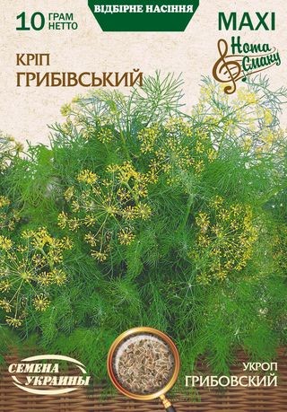 Семена Укропа Грибовский, 10 г, ТМ Семена Украины