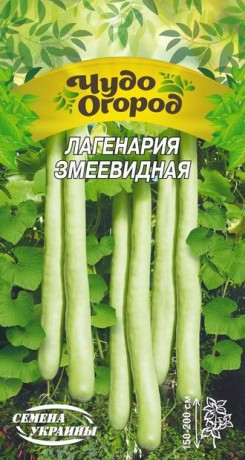 Семена Лагенария змеевидная, 1 г, ТМ Семена Украины