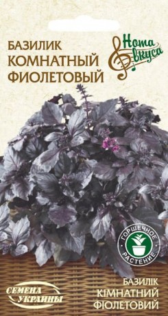 Насіння Базилік Кімнатний фіолетовий, 0.25 г, ТМ Семена Украины