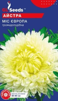 Насіння Астра Міс Європа, 0.3 г, ТМ GL Seeds
