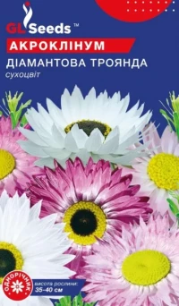 Насіння Акроклінум Діамантова Роза, 0.2 г, ТМ GL Seeds