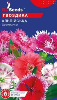 Насіння Гвоздика Альпійська, 0.1 г, ТМ GL Seeds