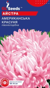Насіння Астра Американська красуня, 0.3 г, ТМ GL Seeds