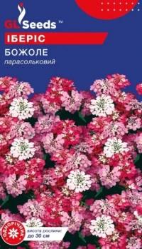 Насіння Іберіс Божоле, 0.5 г, ТМ GL Seeds