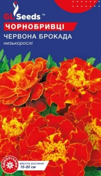 Насіння Чорнобривці Червона брокада, 0.5 г, TM GL Seeds