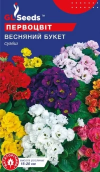 Насіння Примула Весняний букет, 0.1 г, ТМ GL Seeds