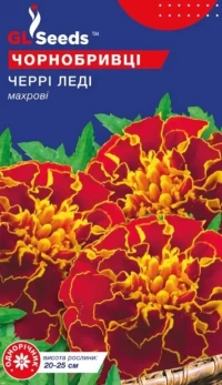 Насіння Чорнобривці Черрі леді, 0.5 г, ТМ GL Seeds