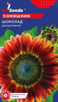 Насіння Соняшник Шоколад, 1 г, ТМ GL Seeds
