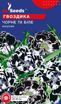 Насіння Гвоздика китайська Чорне і Біле, 0.1 г, ТМ GL Seeds