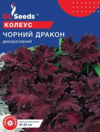 Семена Колеус Чёрный Дракон, 10 шт., ТМ GL Seeds