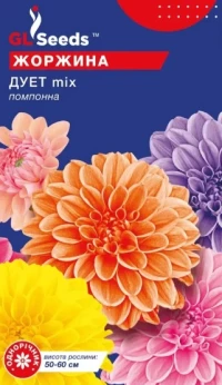 Насіння Жоржина Дует, 0.25 г, ТМ GL Seeds