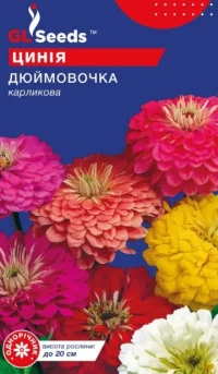 Насіння Майорці Дюймовочка, 0.4 г, ТМ GL Seeds