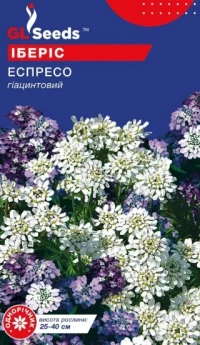 Насіння Іберіс Еспрессо, 0.5 г, ТМ GL Seeds