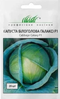 Насіння Капусти Галаксі F1, 20шт, Nong Woo Bio, Корея, ТМ Професійне насіння