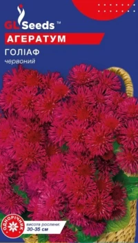 Насіння Агератум Голіаф, 0.1 г, ТМ GL Seeds