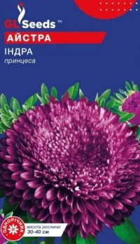 Насіння Айстри Індра пурпурна, 0.3 г, ТМ GL Seeds