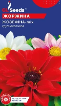 Насіння Жоржина Жозефіна, 0.2 г, ТМ GL Seeds