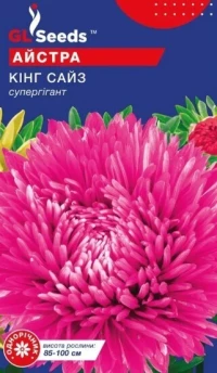 Насіння Айстри Кінг сайз, 0.3 г, ТМ GL Seeds