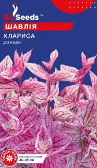 Насіння Сальвія Кларісса, 0.25 г, TM GL Seeds