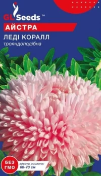 Насіння Айстри Леді Корал, 0.3 г, ТМ GL Seeds