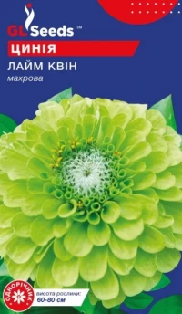 Насіння Майорці Лайм Квін, 0.5 г, ТМ GL Seeds, НОВИНКА