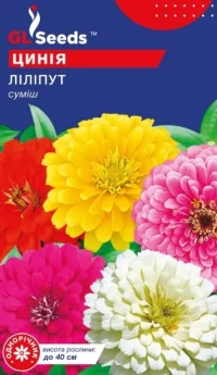 Насіння Майорці Ліліпут, 0.5 г, ТМ GL Seeds