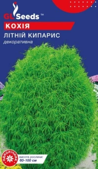 Насіння Кохія Літній кипарис, 0.5 г, ТМ GL Seeds