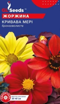 Насіння Жоржина Кривава Мері, 0.25 г, ТМ GL Seeds