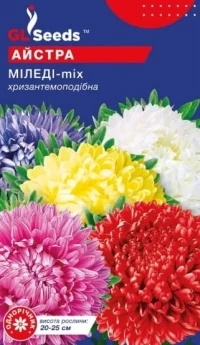 Насіння Айстри Міледі, 0.3 г, ТМ GL Seeds