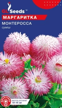 Насіння Маргаритка Монте Росса, 0.1 г, ТМ GL Seeds